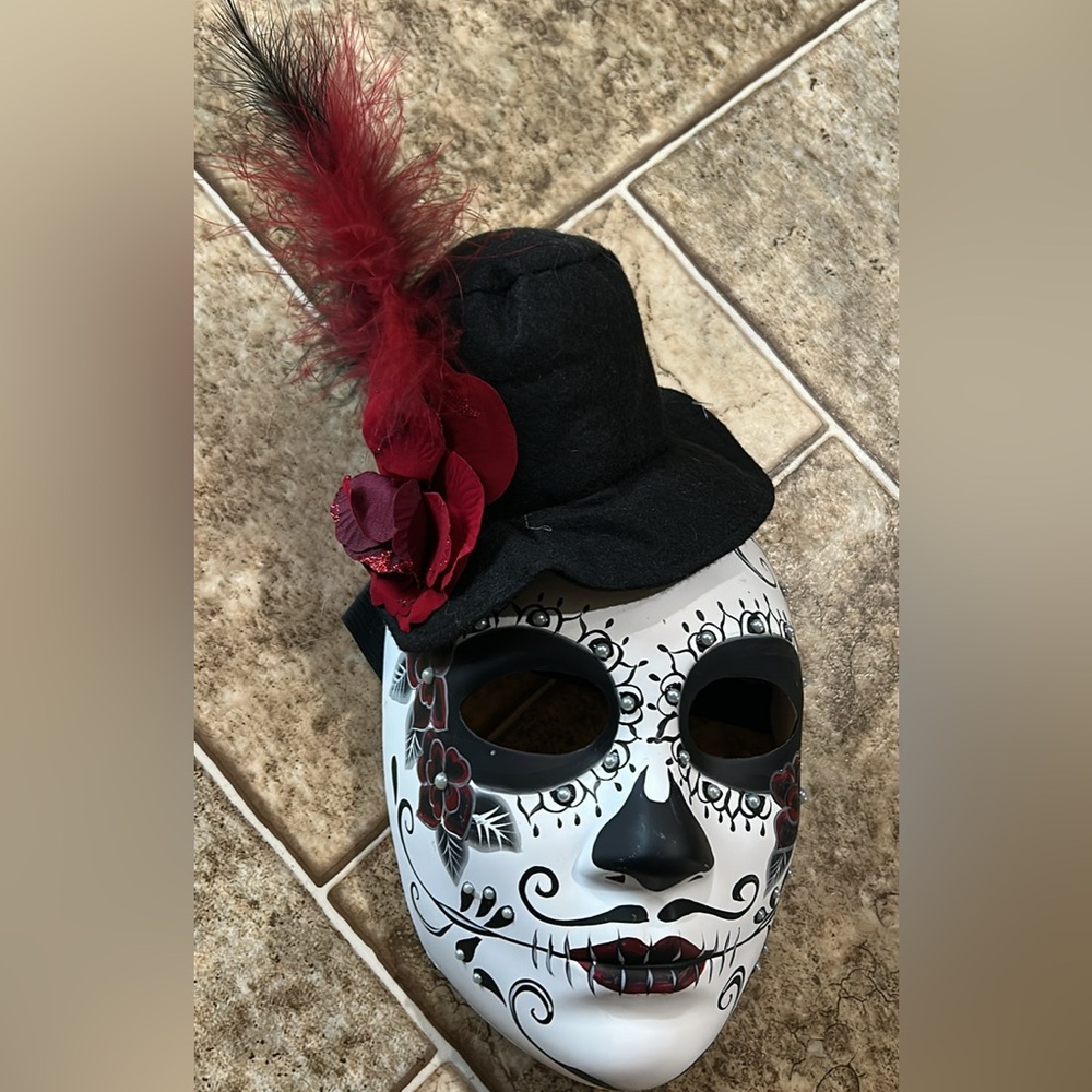 Elegant Black and White Masquerade Mask with Red Accents